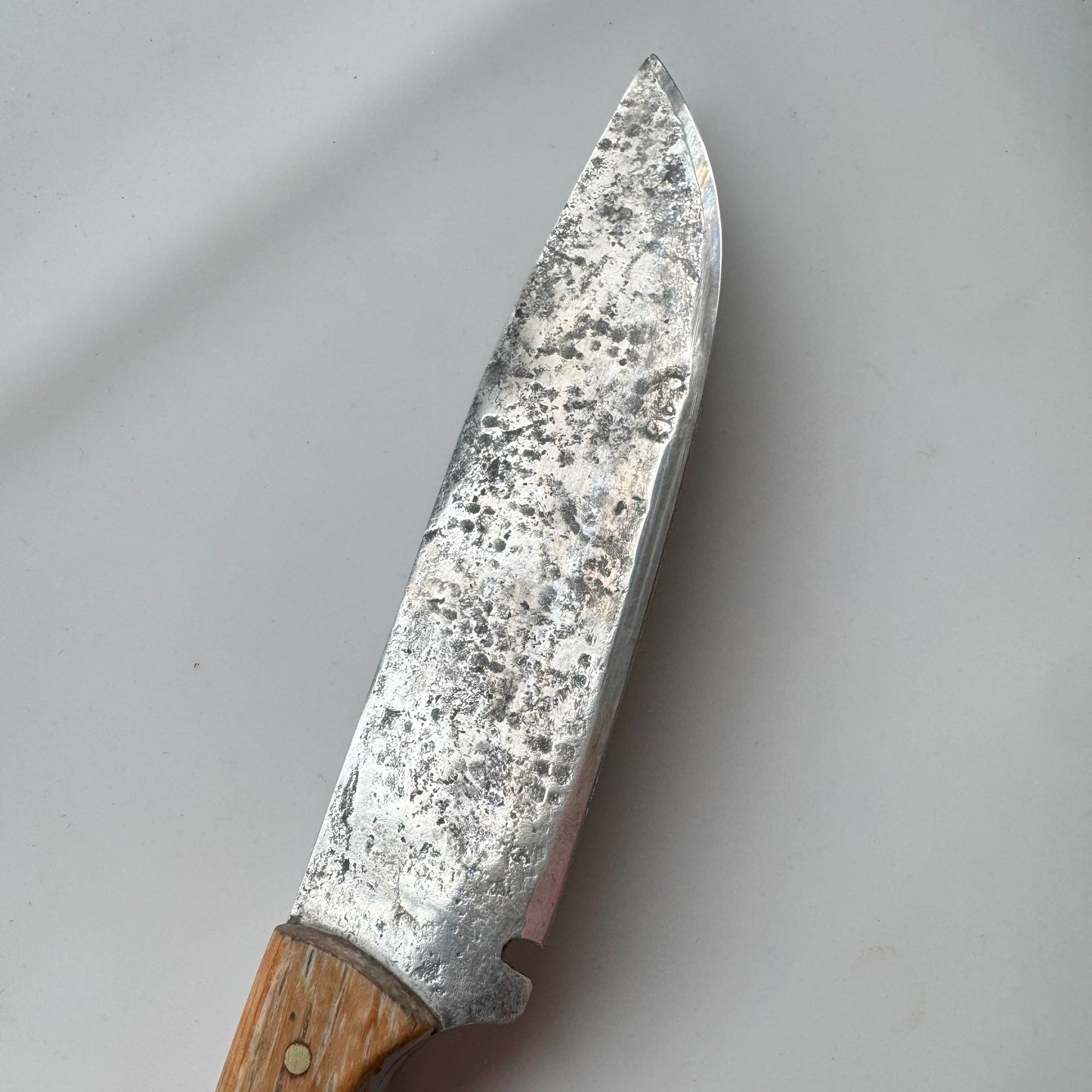 Oak Knife